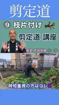 If you prioritize saving time, this is it!! A technique to shorten the time spent clearing branch...