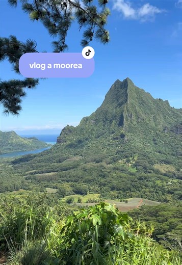 je t’emmène passer le week-end avec nous à Moorea, cette île est sublime autant dans son lagon et que ces montagnes 🌺🐠⛰️ #tahiti #moorea