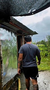 1.1M views · 10K reactions | MULTO SA BANYO | Supremo | Facebook