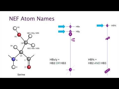CcpNmr AnalysisAssign V3 - Understanding NEF Atom Names