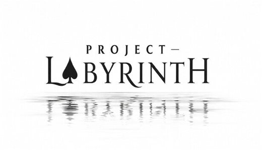 Buy Project - Labyrinth from the Humble Store