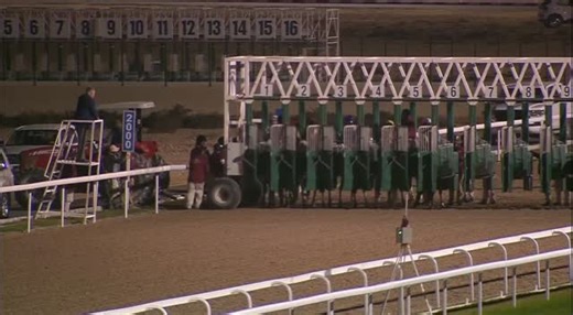 ‎نحيز ريسنغ -NAHEEZ RACING‎ on Instagram‎: "⁨ ‏🇶🇦 #سباقات_قطر ٢٠٢٦/٢/٧ : الجواد هادي دو كرير(نيشان/فيكي دو كرير بنت دورمان)يحقق انتصاره السادس ويفوز بكأس عين سنان - شوط مفتوح - لمسافة ٢٠٠٠م رملي ( توقيت ٠٢:١٨:٥١) عمر ٤ سنوات فأعلى للمالك الشيخ أحمد بن محمد بن فالح آل ثاني والمدرب جاسم الغزالي والفارس ماركو كازامنتو المركز الثاني : مطوع الصعايب(جعفر اسف/كارسا دو جينيو بنت دورمان) المركز الثالث : ناصر الشحانية(جعفر اسف/ناكري الموري بنت كسبروي) المركز الرابع : الكاظم(المأمون مونلو/غزوة بنت عامر) 