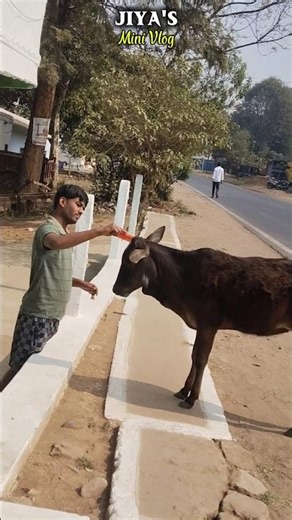 Ye kya chal raha hai 😳😂 | Relatable Daily Vlog🙌🏻| Aaj ky dekhna pada😅 #ytshorts #newyoutuber #short