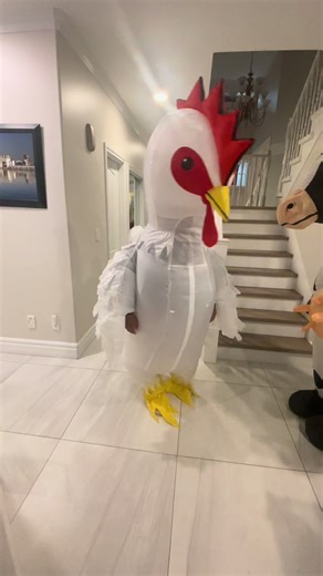 Inflatable Chicken and Cow Costumes Dance in Hallway