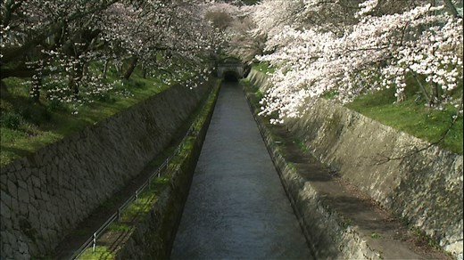 近畿のくらしを支える琵琶湖 | NHK for School