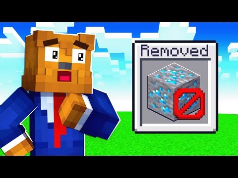 Minecraft But YOU Can Delete Blocks