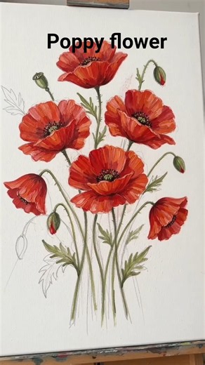 simple and easy painting tutorial of poppy flower 💐