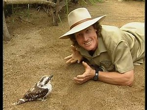 The Wiggles: Learn About the Animals