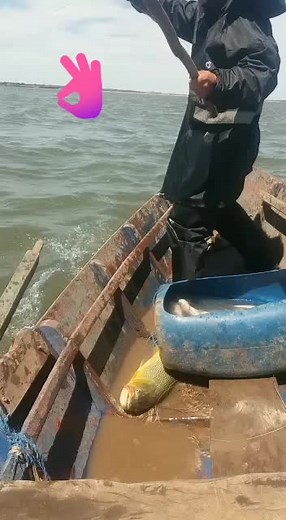 Fishing Adventures: Catching a Giant Yellow Fish