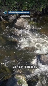 92K views · 752 reactions | An important new film has arrived to...