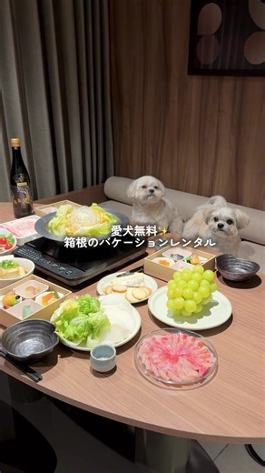 箱根旅行の思い出とRakuten STAYの魅力