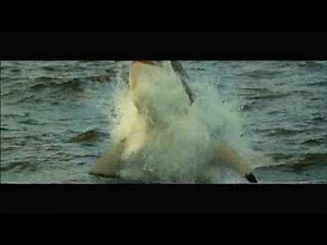 『オーシャンズ』 TV CM（30秒）