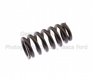 Valve Springs