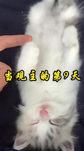 Exploring Daoism: Insights into Daily Practices