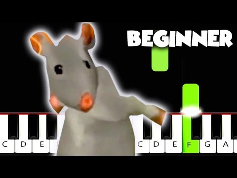 Rat Dance MEME | BEGINNER PIANO