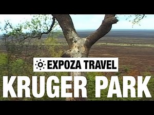 Kruger National Park Vacation Travel Video Guide