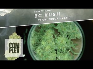 Motor City High: BC Kush Marijuana Strain | Ep 6 On Complex