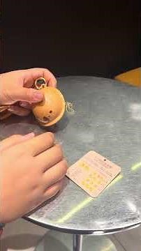 Chinese ancient turtle shell divination toy