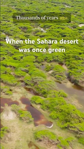 The green Sahara #documentary #ancienthistory #africanhistory