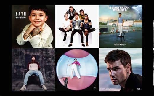 [搬运]Perfect Direction - One Direction| Harry, Niall, Liam, Zayn, Louis (Megamix)