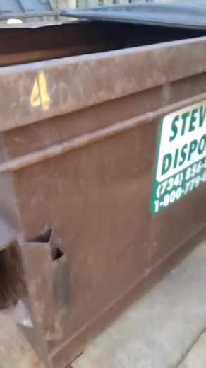 Trash pandas just relaxing 🦝 #dumpsterdiving #reels #FREE #viral #crazy #funny | Grab it fast