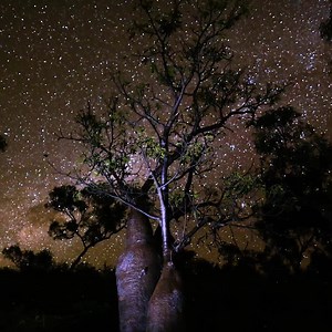1.3M views · 64K reactions | No need to check the reviews, the Kimberley region in Australia's North West has a billion star rating. Pic: Base Imagery with Kimberley Expeditions | Western Australia | Facebook