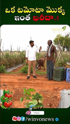 Venu’s Exclusive Interview with a Vegetable Farmer | Inspiring Farmer Story |