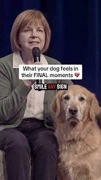 What Your Dog Feels in Their Final Moments ❤️ (According to Science)