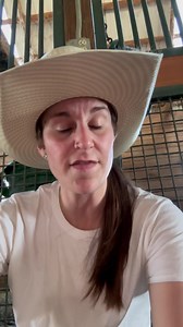 Kentucky…racehorses…and general information….😂🤣 you’re welcome! | Kristen Tuff Scott