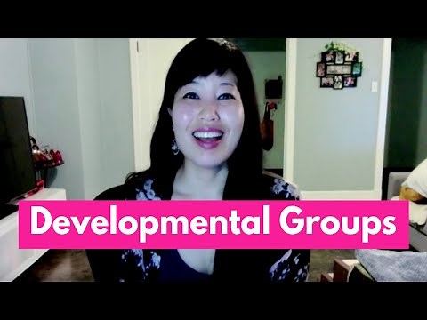 Developmental Groups- Parallel, Project, Egocentric-Cooperative, Cooperative | OT MIRI