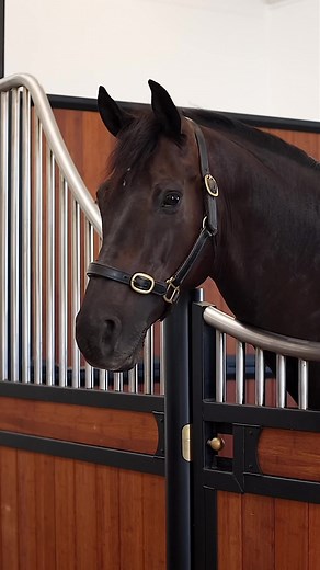 Equestrian Construction and Design: Saltburn Horse Barn Project