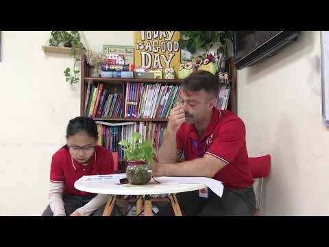 Flyer A2 - Talk 04.02 - Elsa