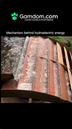 explainer Area | Fact: Nearly 16% of the world's total electricity comes from hydropower -making it the largest renewable energy source today. Hydropower... | Instagram