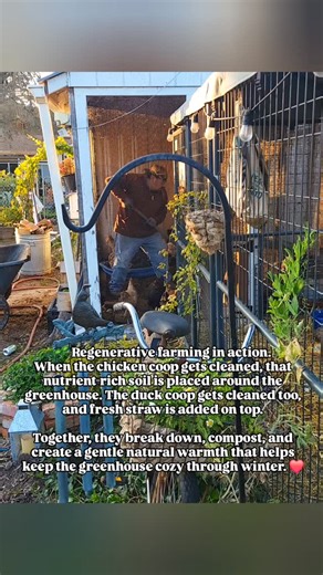 15 reactions | We talk a lot about regenerative farming here… but I...