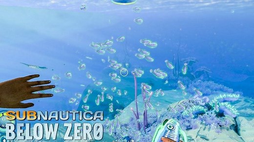 Where to find Rubies in Subnautica: Below Zero