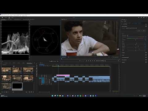 How to work with Pro Res Raw in Premier Pro 2024 | Full Workflow |