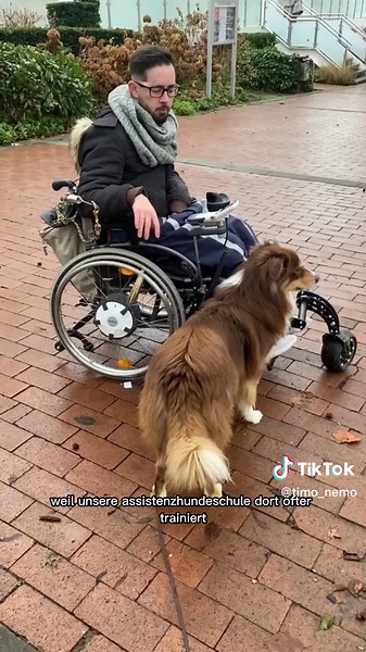 Assistenzhundetraining in der Innenstadt! ✨ Es war ein richtig tolles Training und hat uns wieder gezeigt, wie toll die beiden Zusammenarbeiten. Unsere Trainerin hat wieder all unsere Fragen beantwortet und uns neuen Input für die nächsten Wochen gegeben. 🙏🏼😍 Bei wem ist die Anstandspommes eigentlich auch Pflicht im Programm? 🍟🤭 ___________________________ Wenn euch der Einblick gefallen hat, speichert es doch gerne und lasst einen Kommentar da und ein Like da. Habt einen schönen Abend! 🤍 