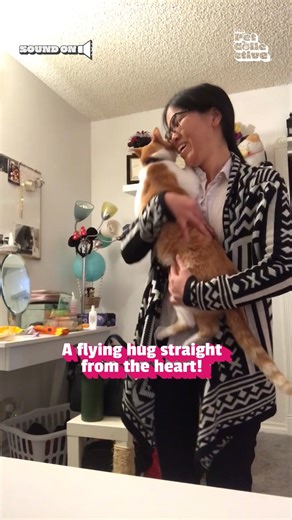 228K views · 666 reactions | It's National Hug Your Cat Day! We better see you hugging your cat! 殺 #Hug #Cat #NationalHugYourCatDay | The Pet Collective | Facebook