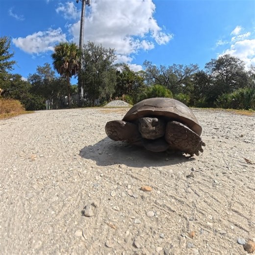 Kayak DIY on Reels | Facebook