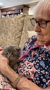 4K views · 78 reactions | Are you kitten me right meow? #kittencuddles | Chartwell Hampton House Retirement Residence | Facebook