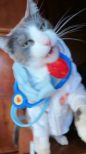 Ida al doctor | Liz Gatitos Ramirez