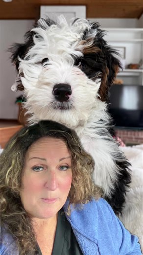 Potty Training Your Bernedoodle Puppy