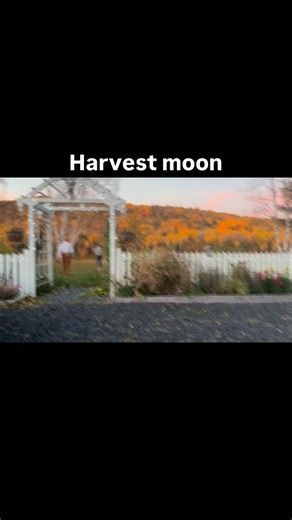 Full Harvest Moon 🌕 over the St John River | Tylor Kellys Camps Allagash Maine