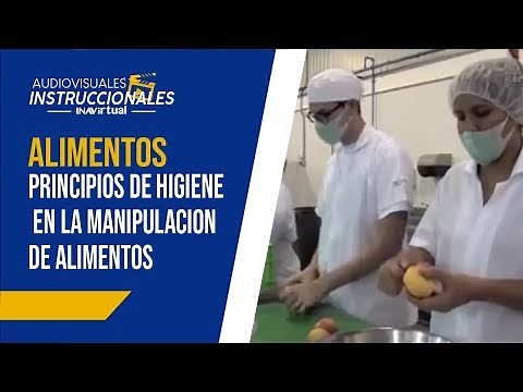 𝗔𝗟𝗜𝗠𝗘𝗡𝗧𝗢𝗦 - Principios de higiene en la manipulación de alimentos