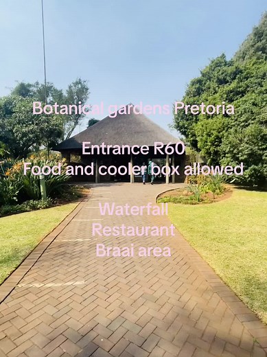 Summer Family Picnic and Braai at Pretoria Botanical Gardens