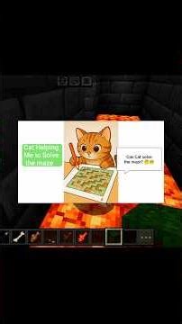 I Let My Cat Choose the Maze Path… Big Mistake 😂🐾#shorts #viral