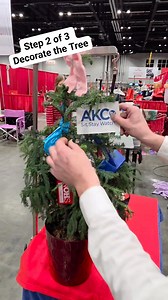 Do you recognize any of your friends helping decorate our Christmas tree from Orlando! Stay tuned to see how it works out tomorrow! #caninechronicle #dogshow #thecaninechronicle #akc #CCTV | The Canine Chronicle