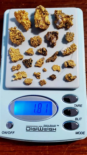 World's most Powerful Metal detector | The Professional Prospector