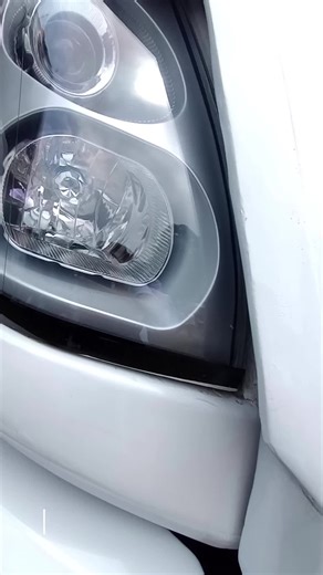 #micros_perris_mx🐸✌️