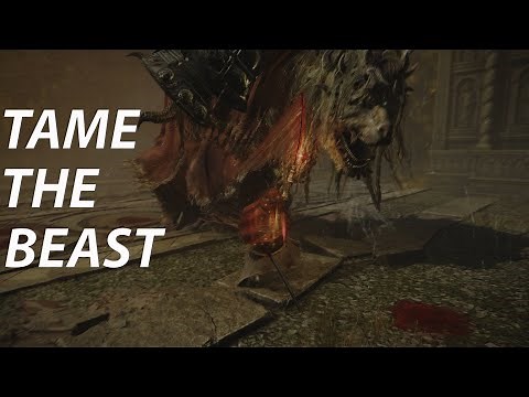 Divine Beast Dancing Lion | One Guide to Rule Them All